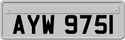 AYW9751