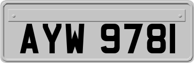 AYW9781