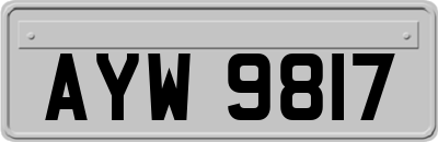 AYW9817