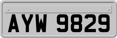 AYW9829