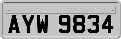 AYW9834