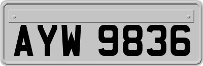 AYW9836