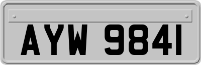 AYW9841