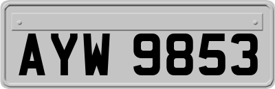 AYW9853