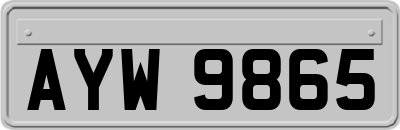 AYW9865