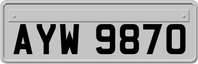 AYW9870