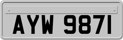 AYW9871