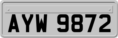 AYW9872