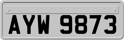 AYW9873