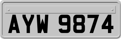 AYW9874