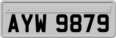 AYW9879