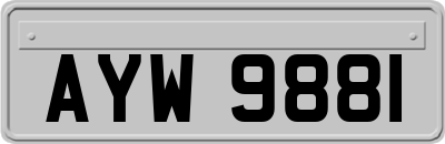 AYW9881