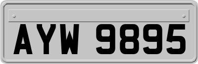 AYW9895