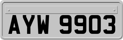 AYW9903