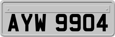AYW9904