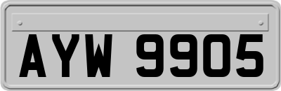 AYW9905