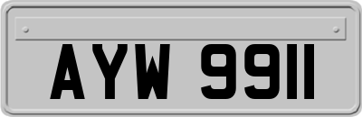 AYW9911