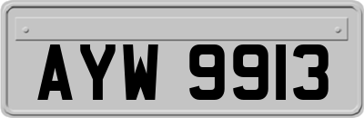 AYW9913