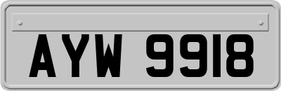 AYW9918