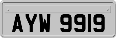 AYW9919