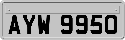 AYW9950