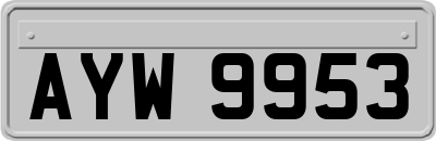 AYW9953
