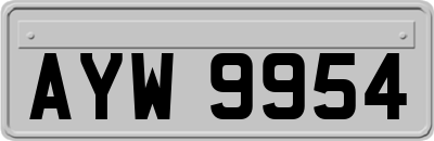 AYW9954