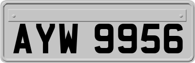 AYW9956