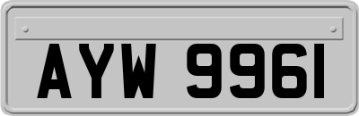 AYW9961
