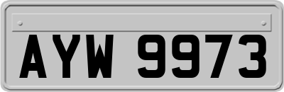 AYW9973