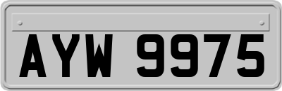 AYW9975