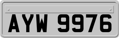 AYW9976