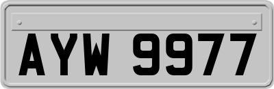 AYW9977