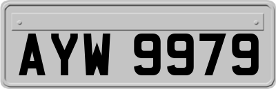 AYW9979
