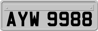 AYW9988