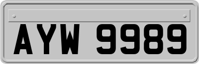 AYW9989