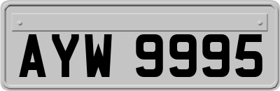 AYW9995