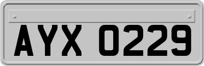 AYX0229