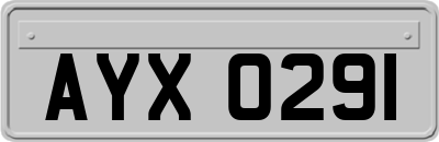 AYX0291