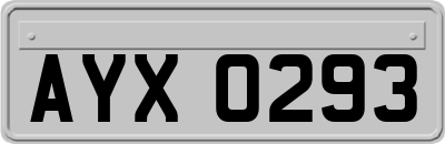 AYX0293