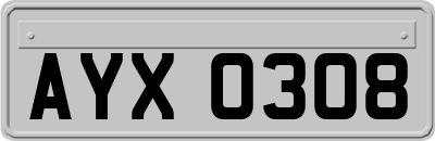 AYX0308