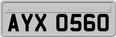 AYX0560