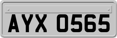 AYX0565