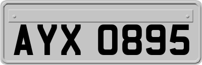 AYX0895