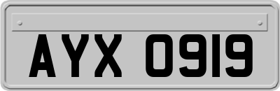 AYX0919