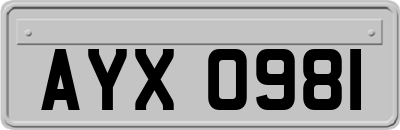 AYX0981
