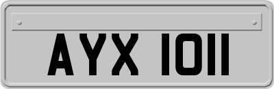 AYX1011