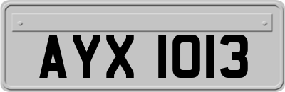 AYX1013