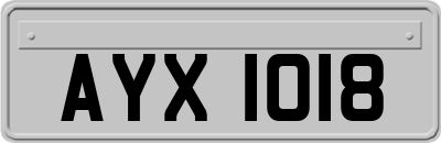 AYX1018