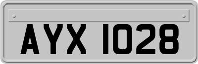 AYX1028